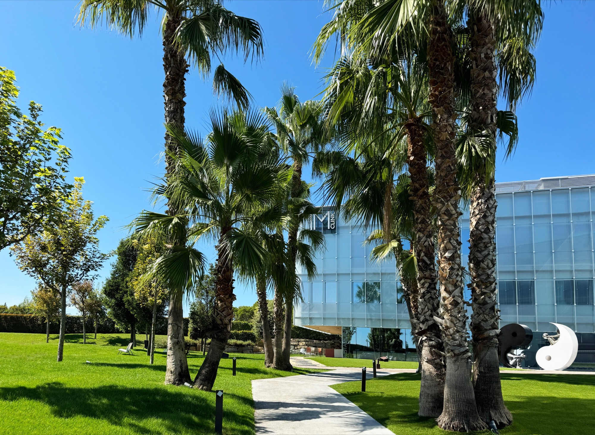 Palm gardens