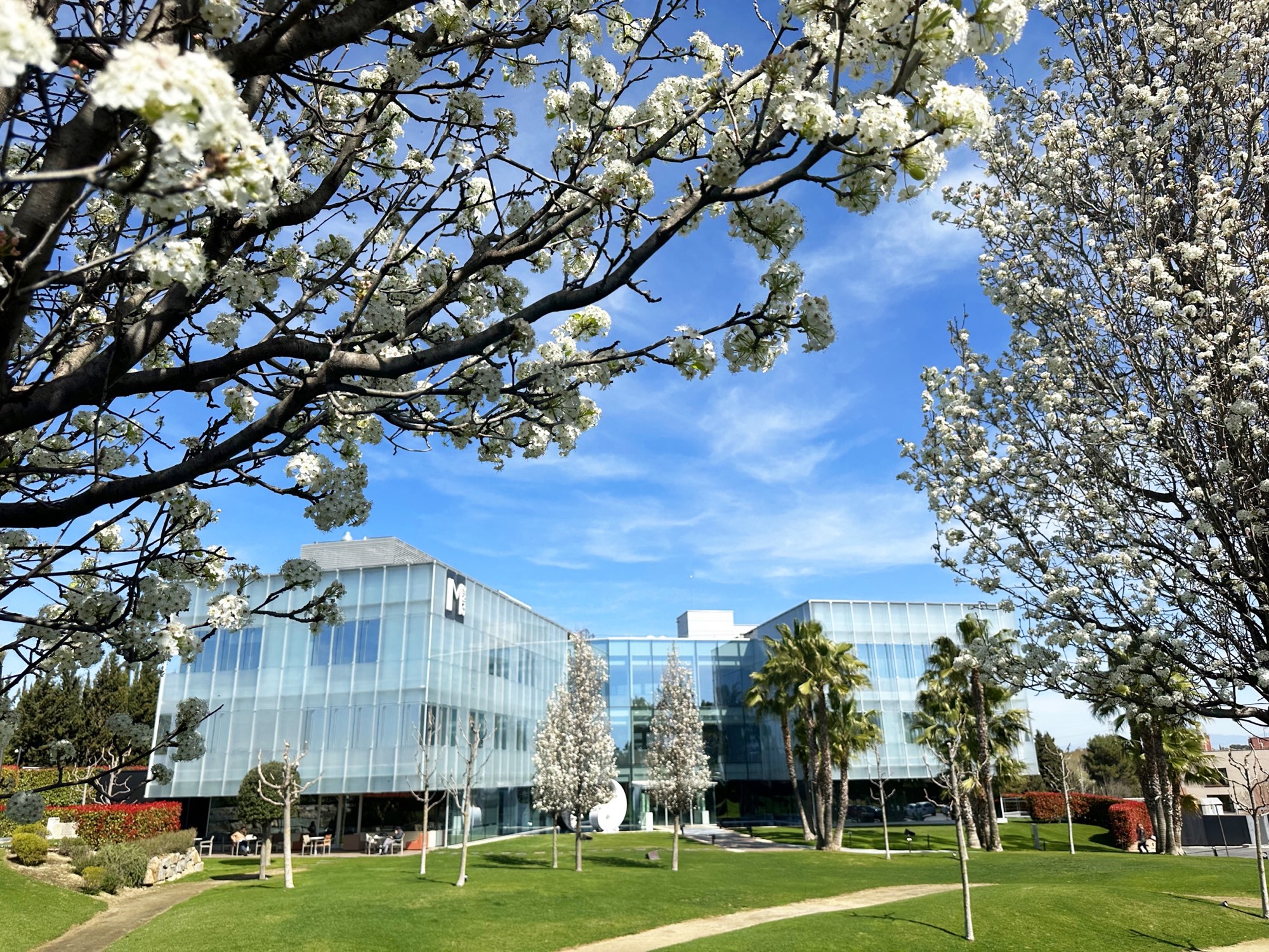 Gardens in bloom